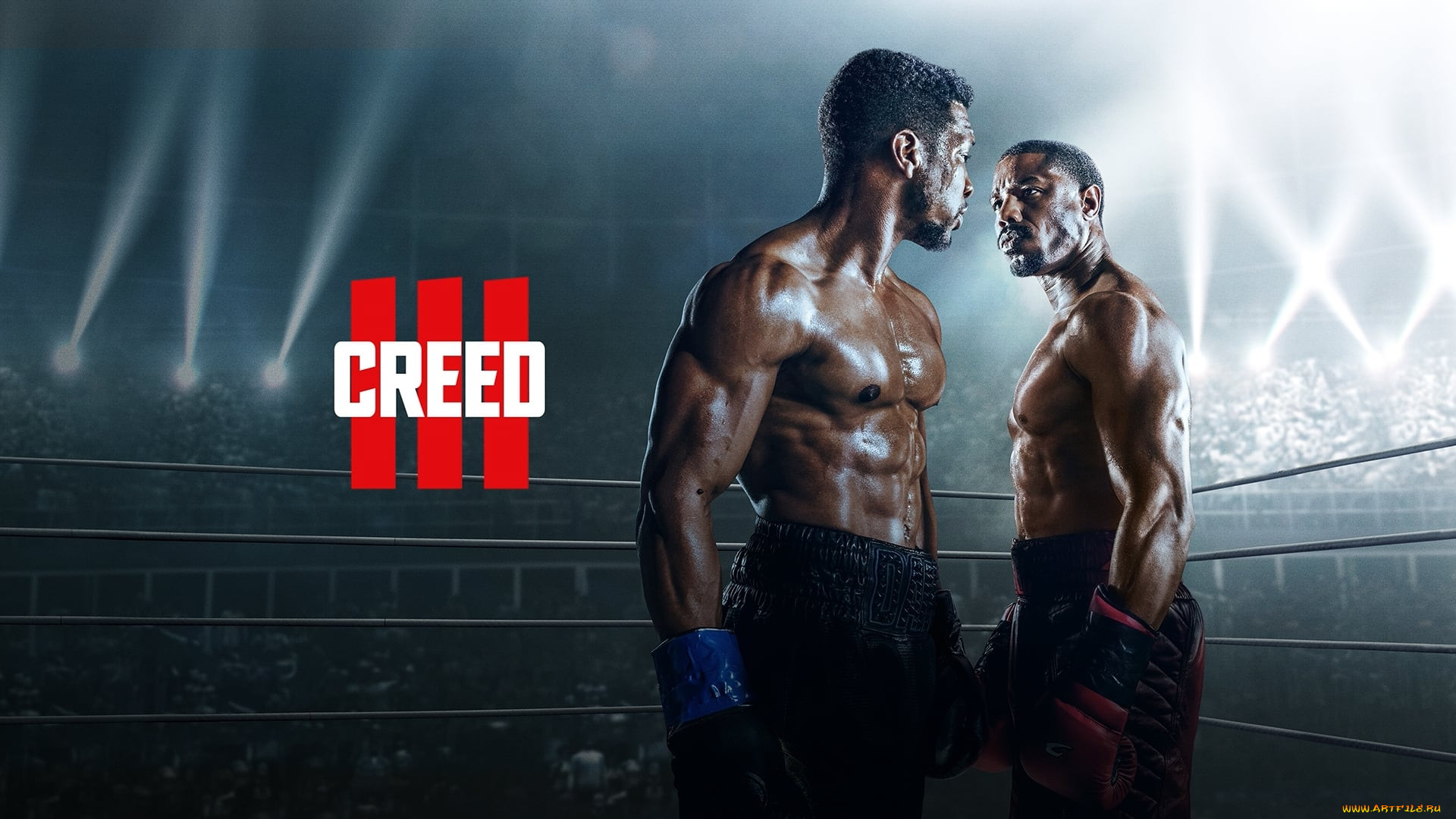 Наследие рокки 3. Creed 3 бокс обои на телефон.